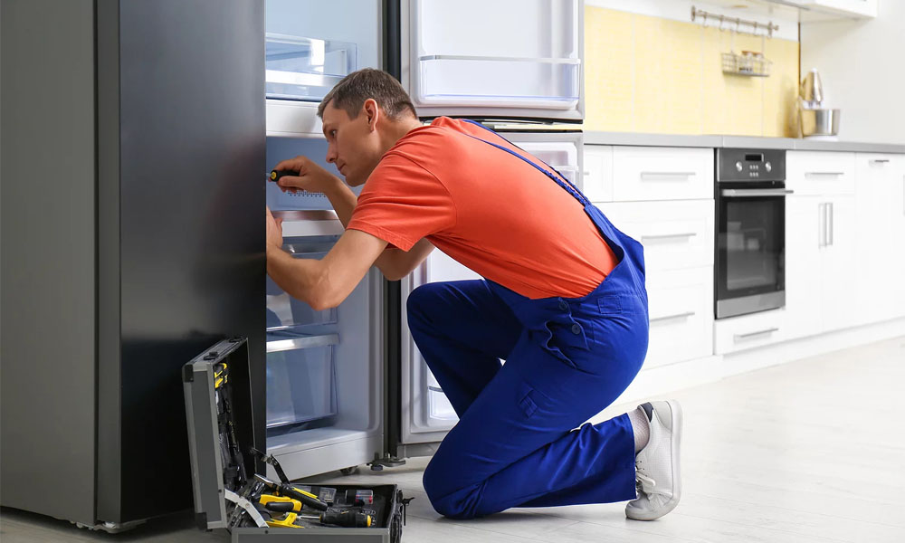 Aydın Servis Merkezi Hizmetleri